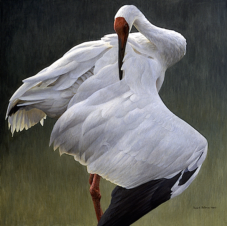 Robert bateman Defensive Stand