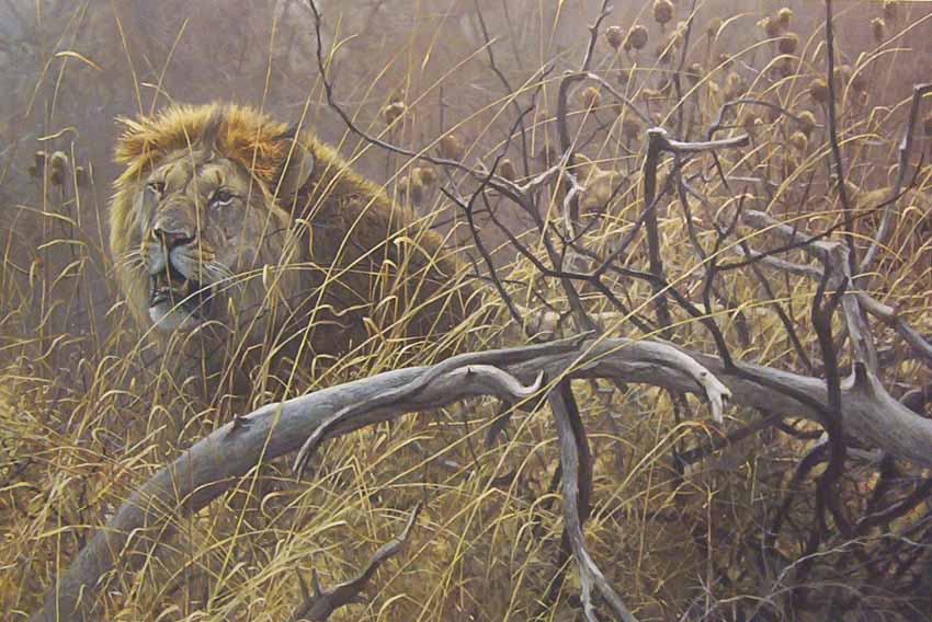 Robert Bateman Encounter In The Bush Lions