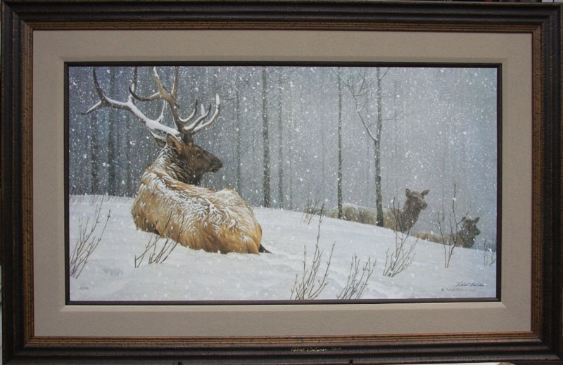 Art Country Canada Robert Bateman