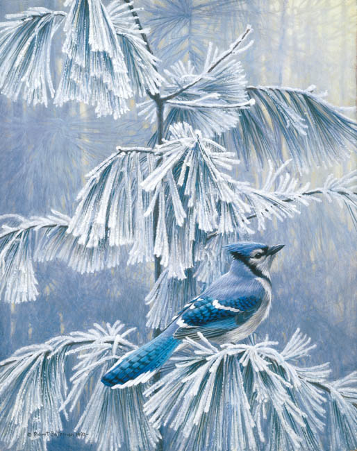 Robert Bateman Frosty Morning Blue Jay
