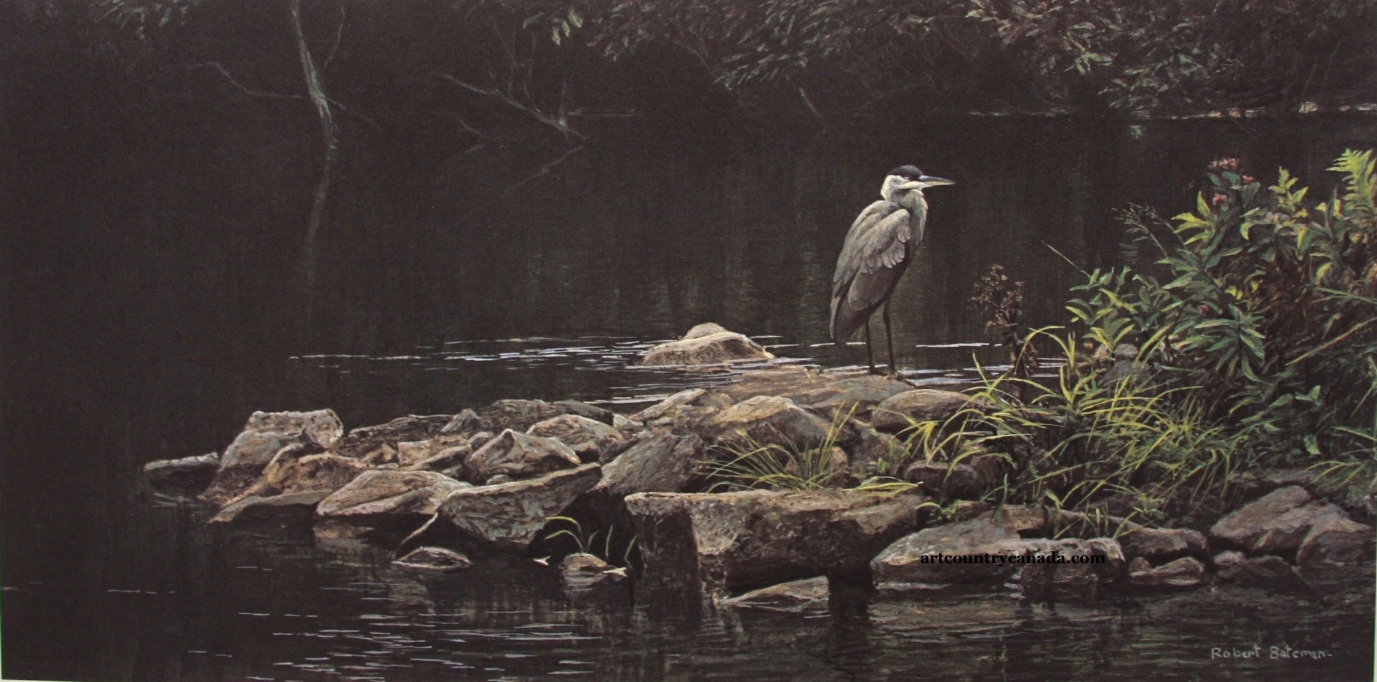 Robert bateman Heron On The Rocks