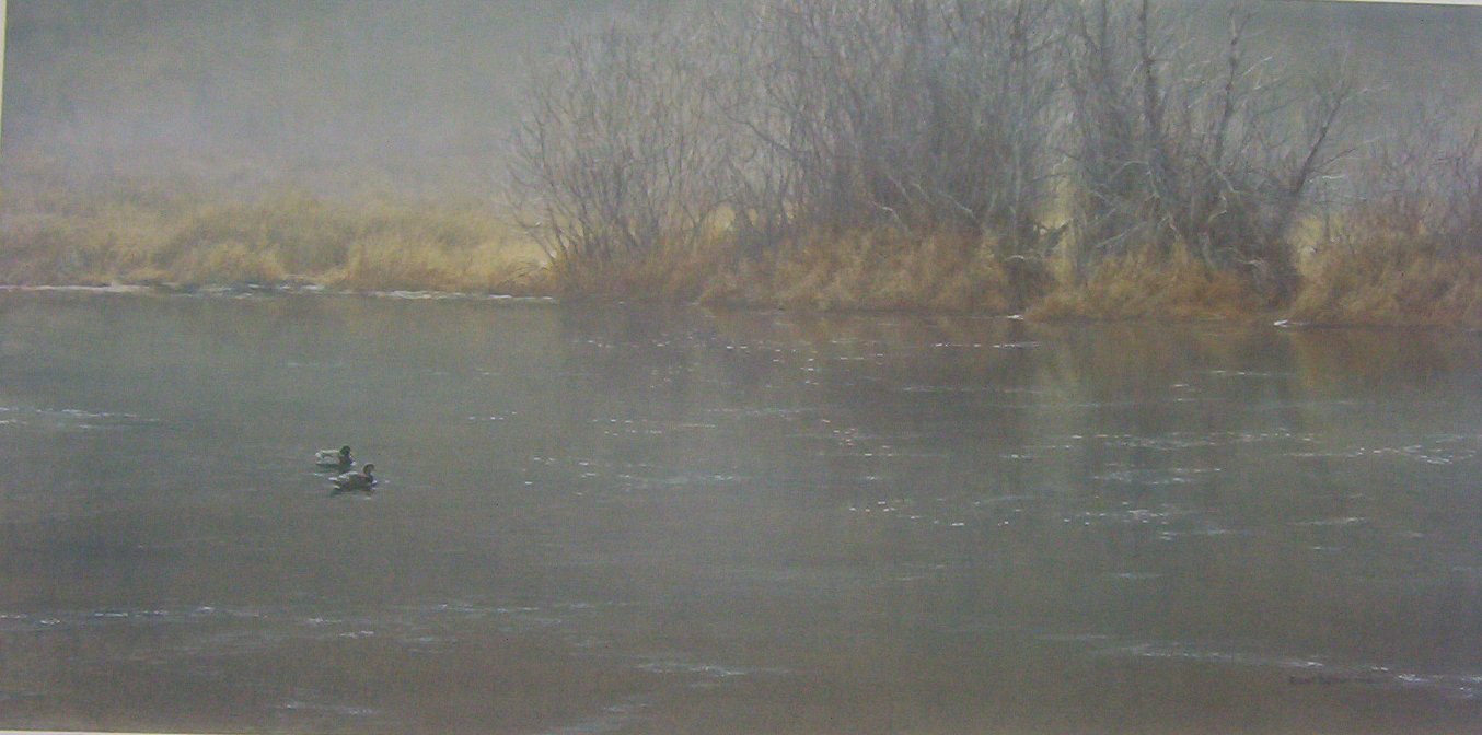 Robert Bateman High Water Mallards