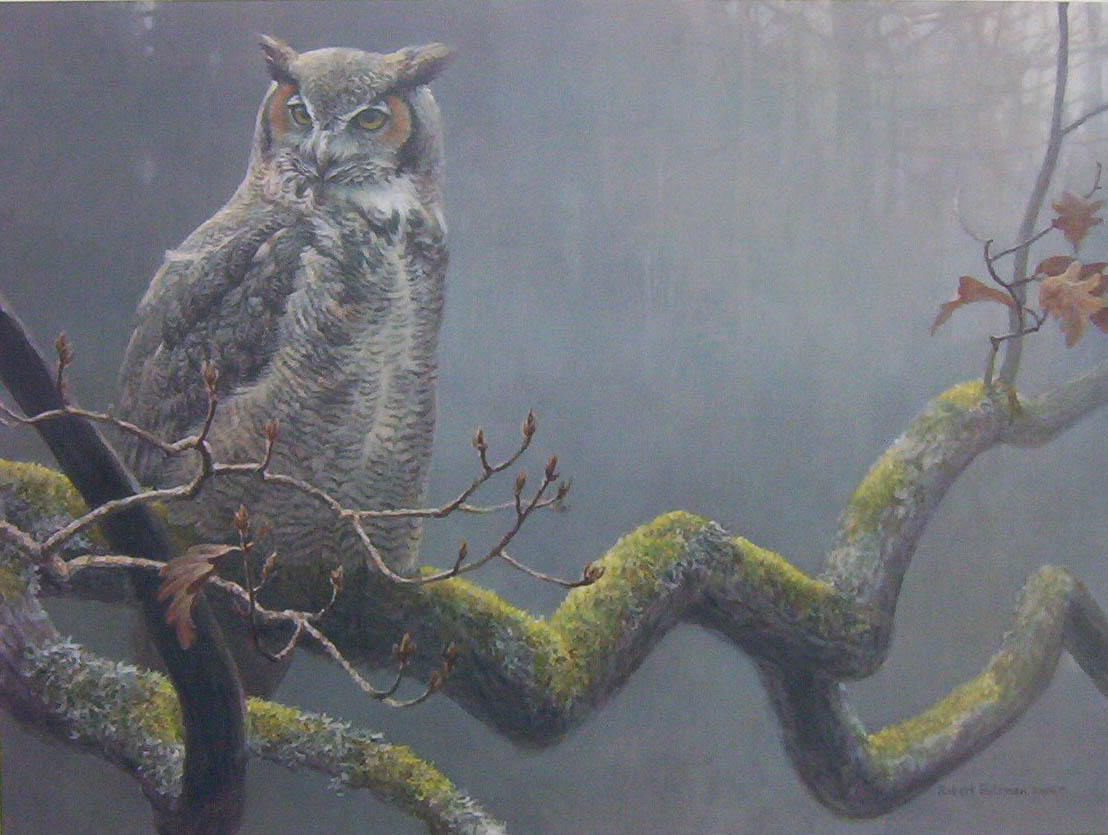 Robert Bateman In The Oak Great Horned Owl
