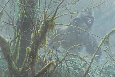 Robert Bateman Intrusion Mountain Gorilla