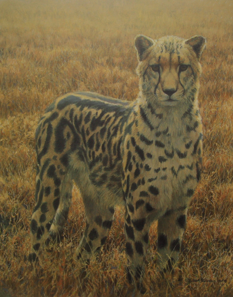 Robert Bateman King Cheetah
