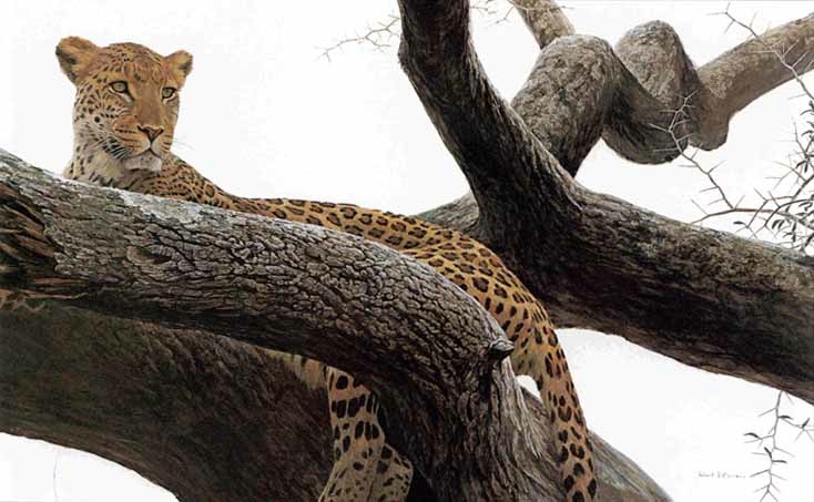 Robert Bateman Leopard At Seronera