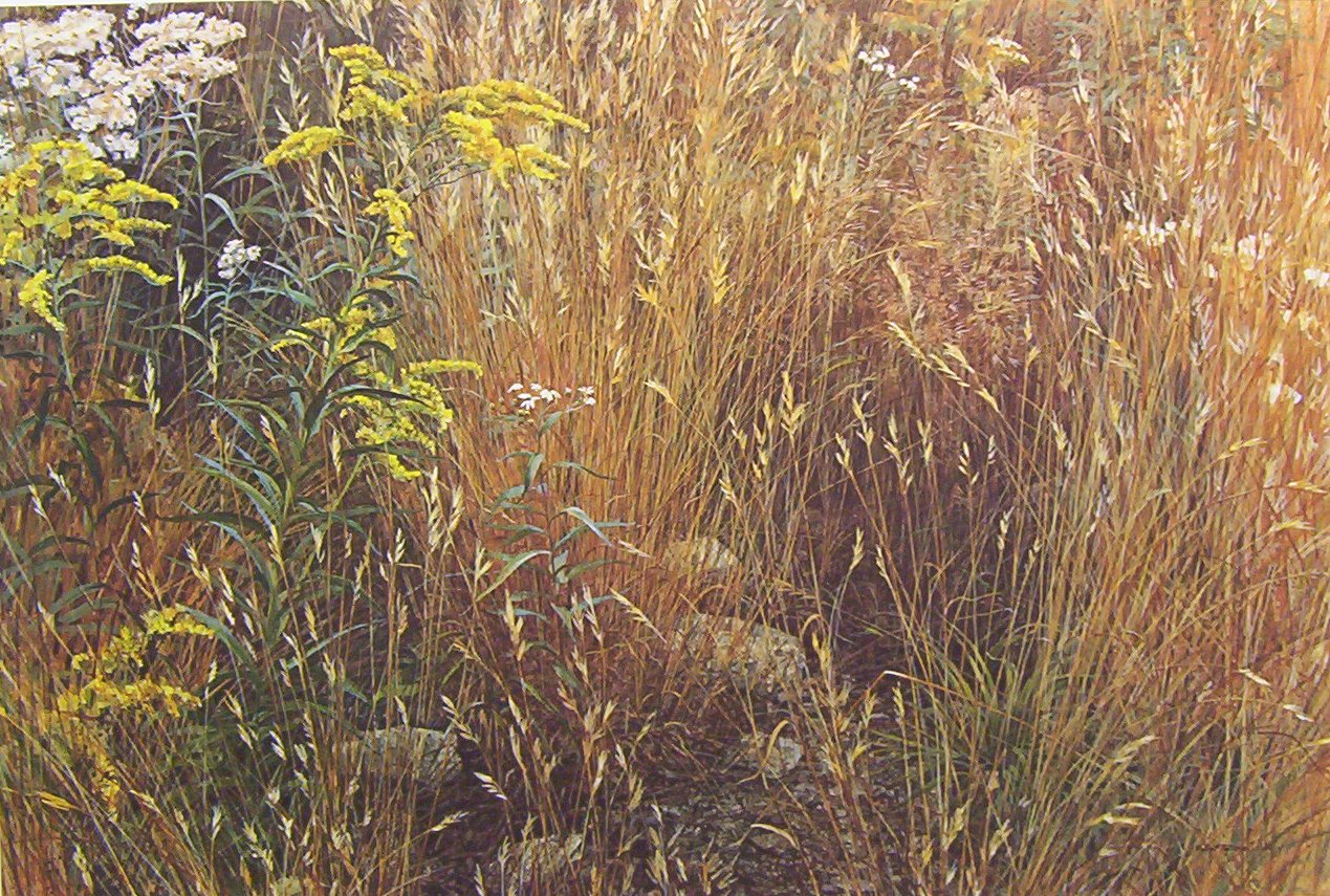 Robert Bateman Marginal Meadow
