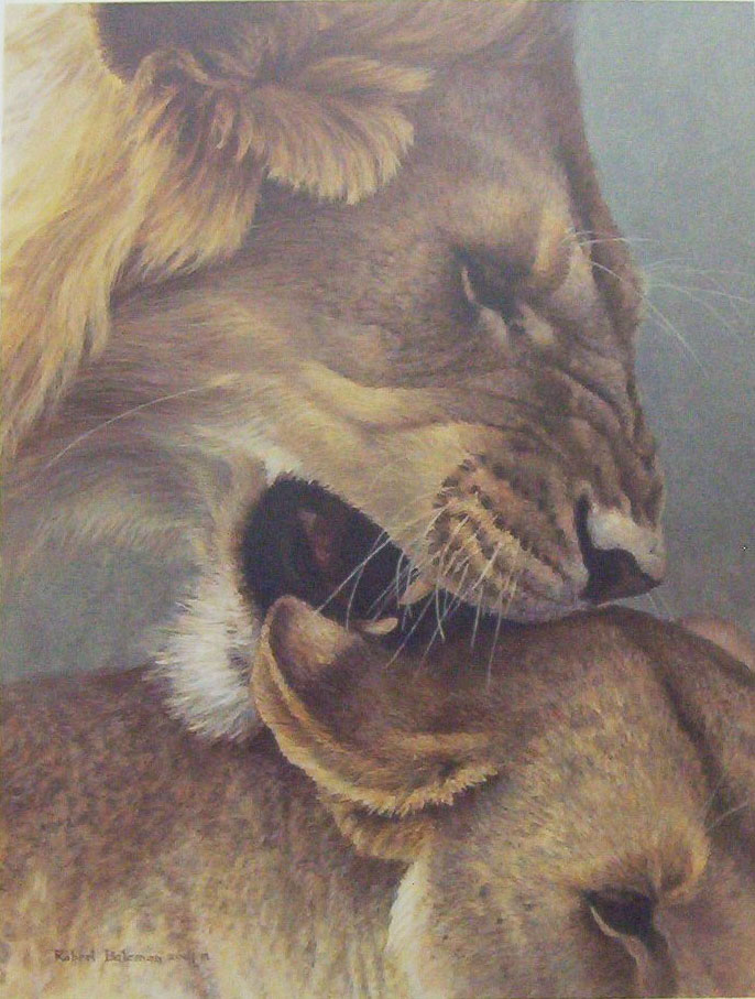 Robert Bateman The Mating Game Lions