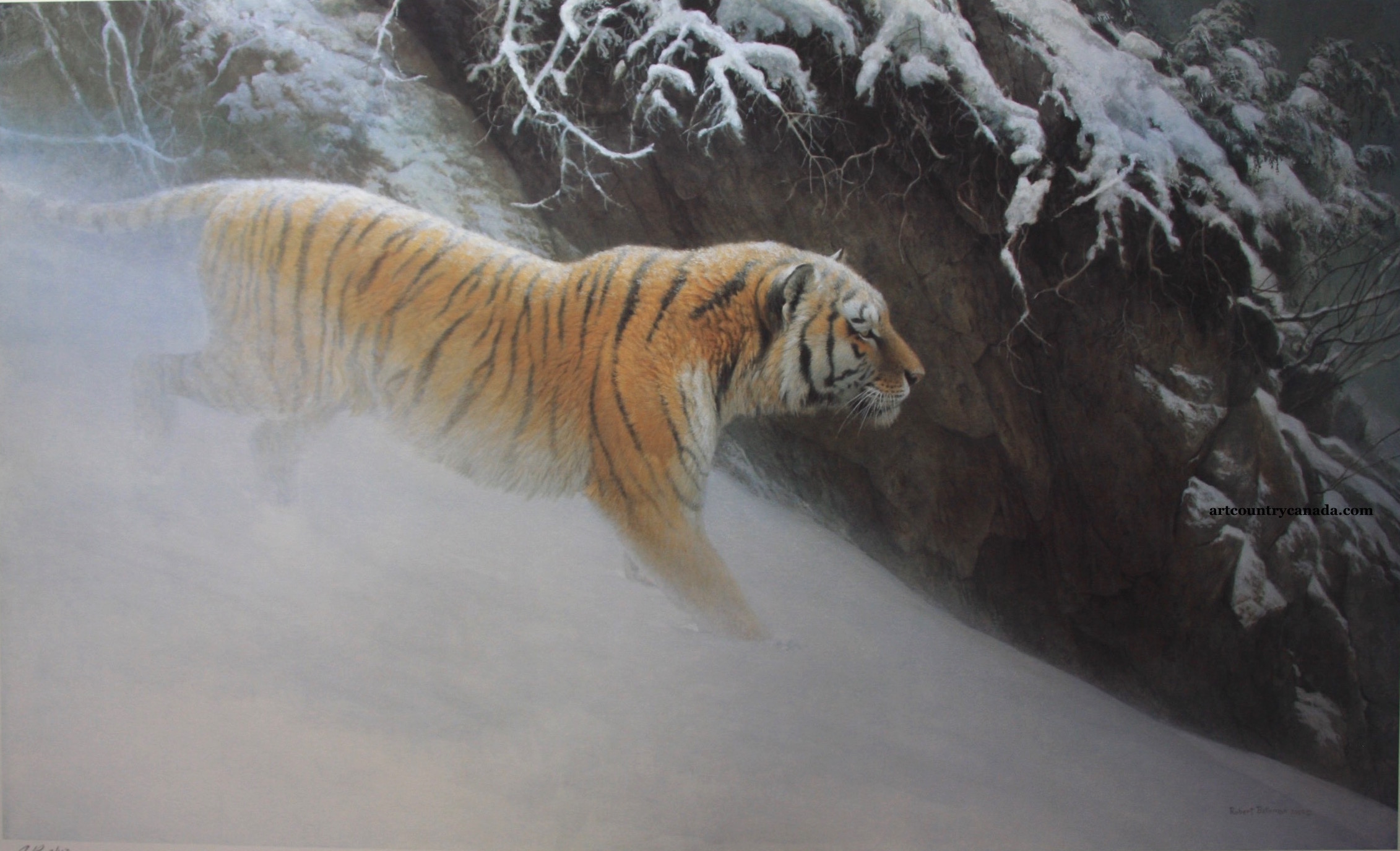 Robert Bateman Momentum Siberian Tiger
