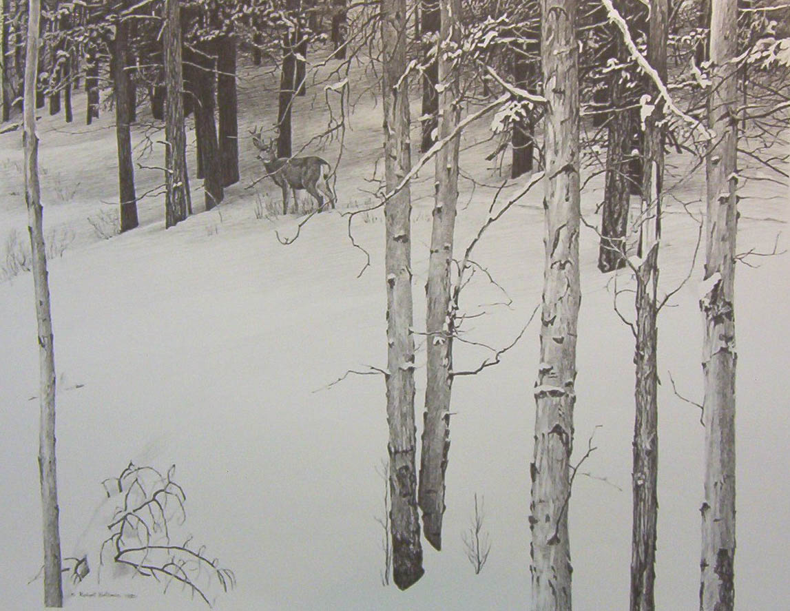 Robert Bateman Mule Deer In Aspen