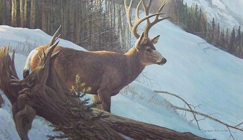 Robert Bateman Mule Deer In Winter