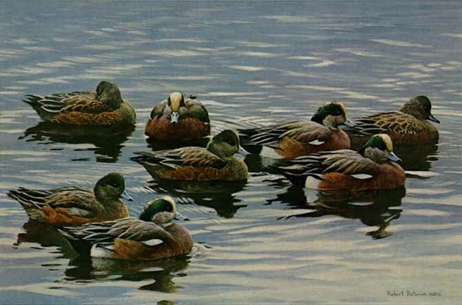 Robert Bateman Peaceful Flock Companion Edition