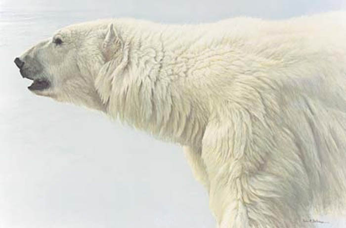 Robert Bateman Polar Bear Profile