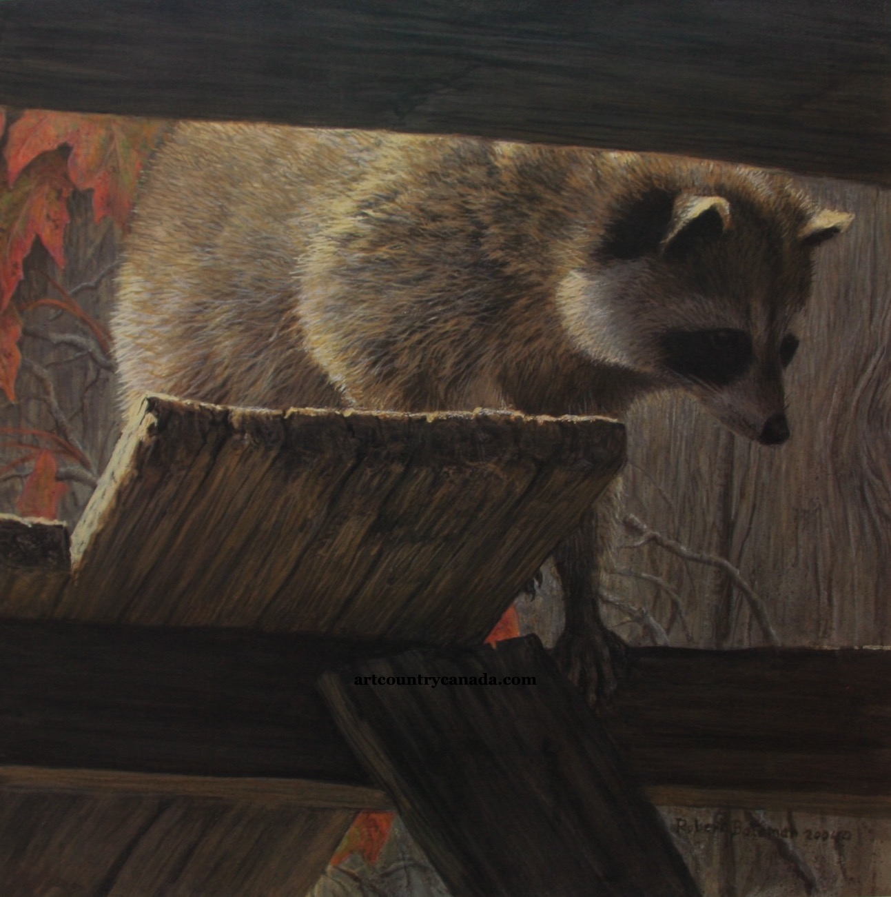 Robert Bateman Prowler Raccoon