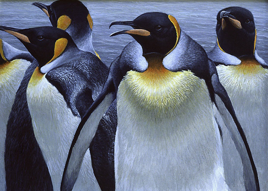 Robert Bateman King Penguins