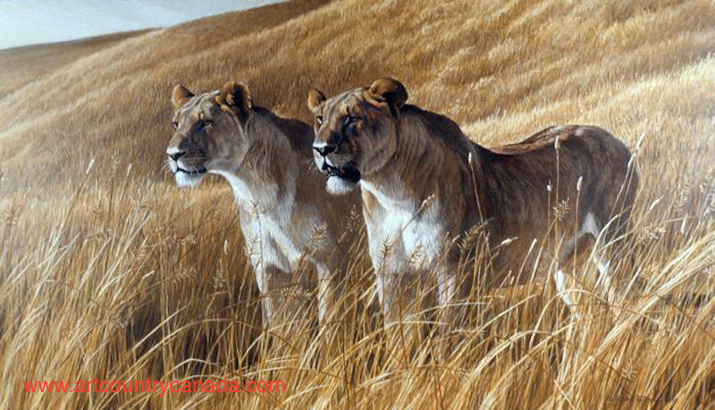 Robert Bateman African Amber Lioness pair