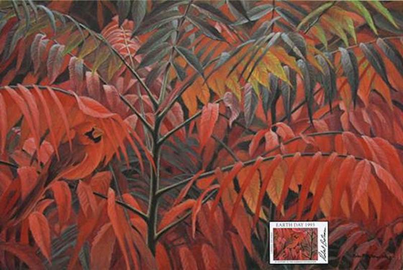 Robert Bateman Cardinal and SCommemorative Editionumac 