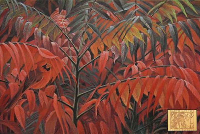 Robert Bateman Cardinal and Sumac Medallion Edition