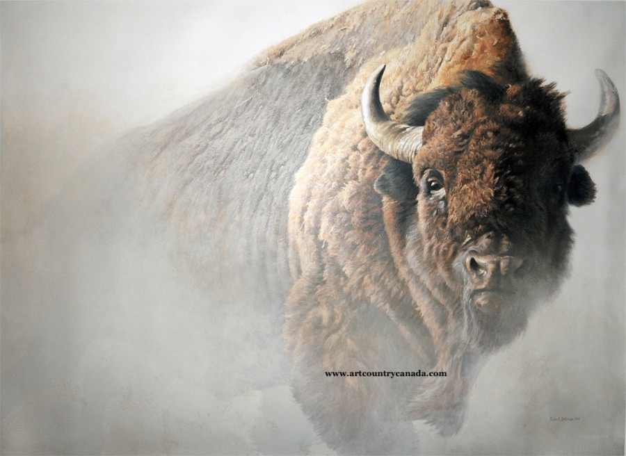 Art Country Canada ROBERT BATEMAN Chief American Bisonc Offset