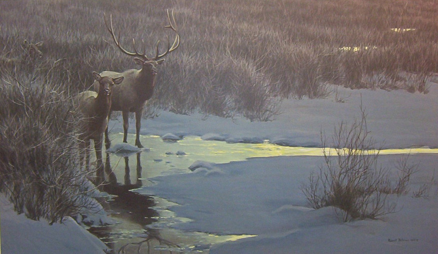 Robert Bateman Evening Light Elk