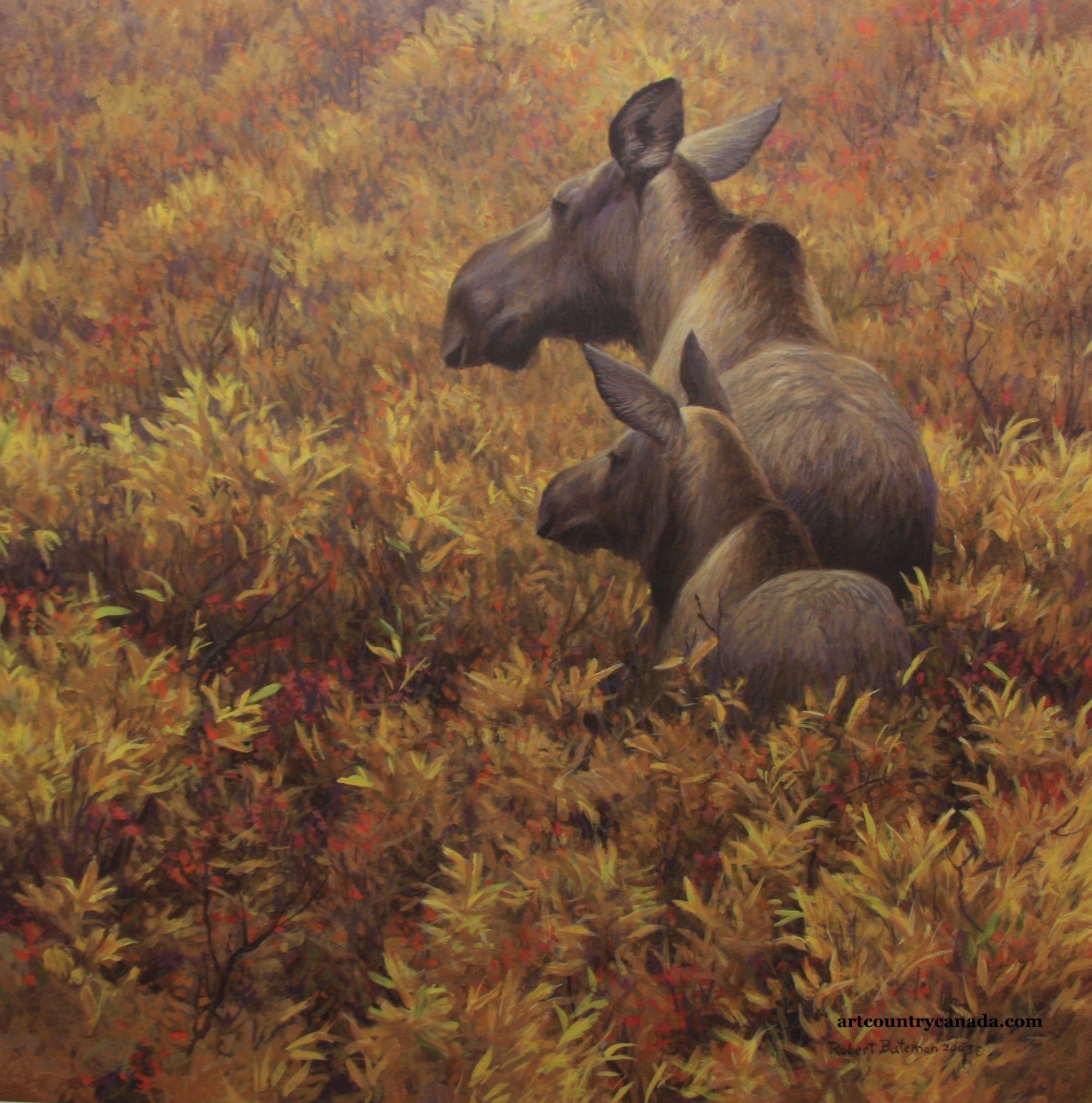 Robert Bateman Fall Forage Moose and Calf