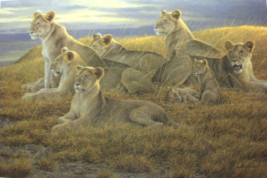 Robert Bateman Family Gathering Lioness and Cubs