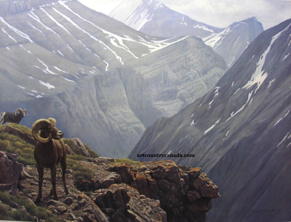Robert Bateman High Country Stone Sheep