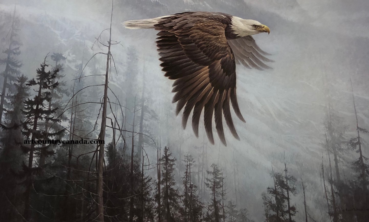Robert Bateman Majesty On The Wing Bald Eagle