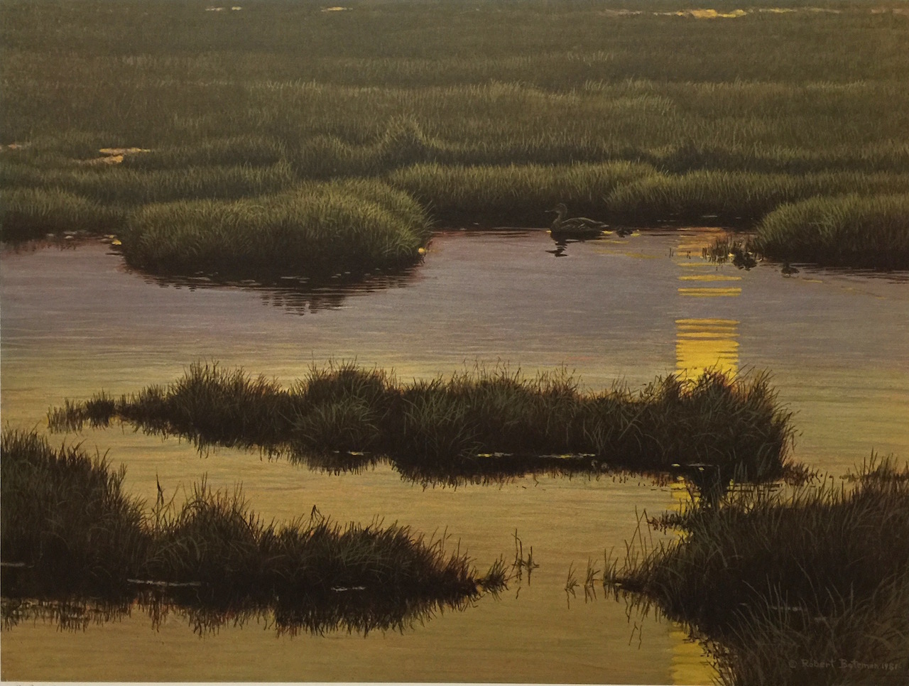 Robert Bateman Mallard Family at Sunset