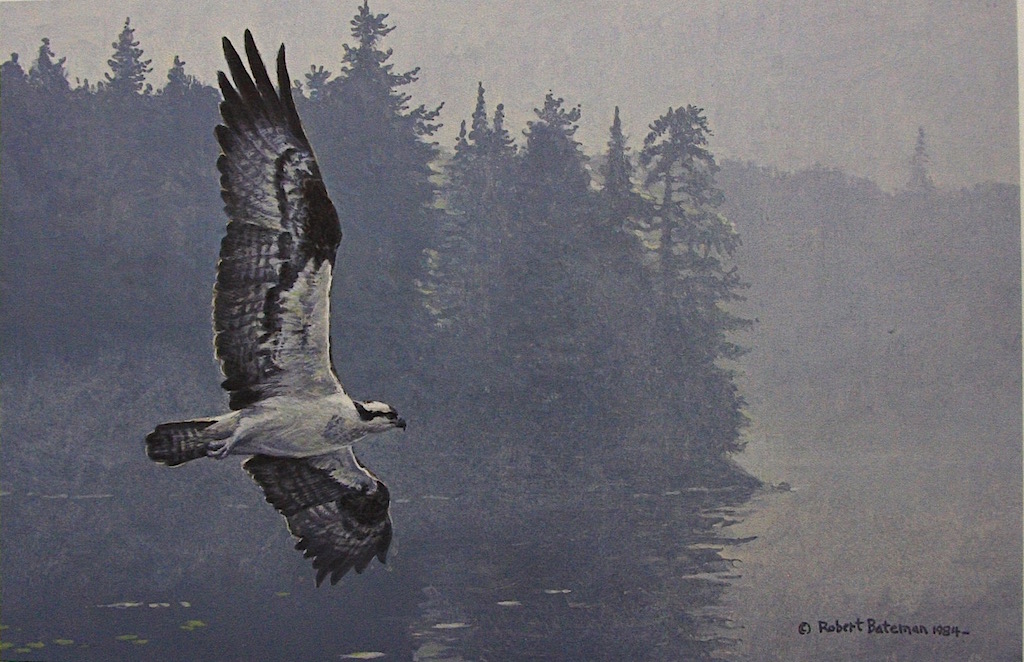 Robert Bateman Misty Morning Osprey