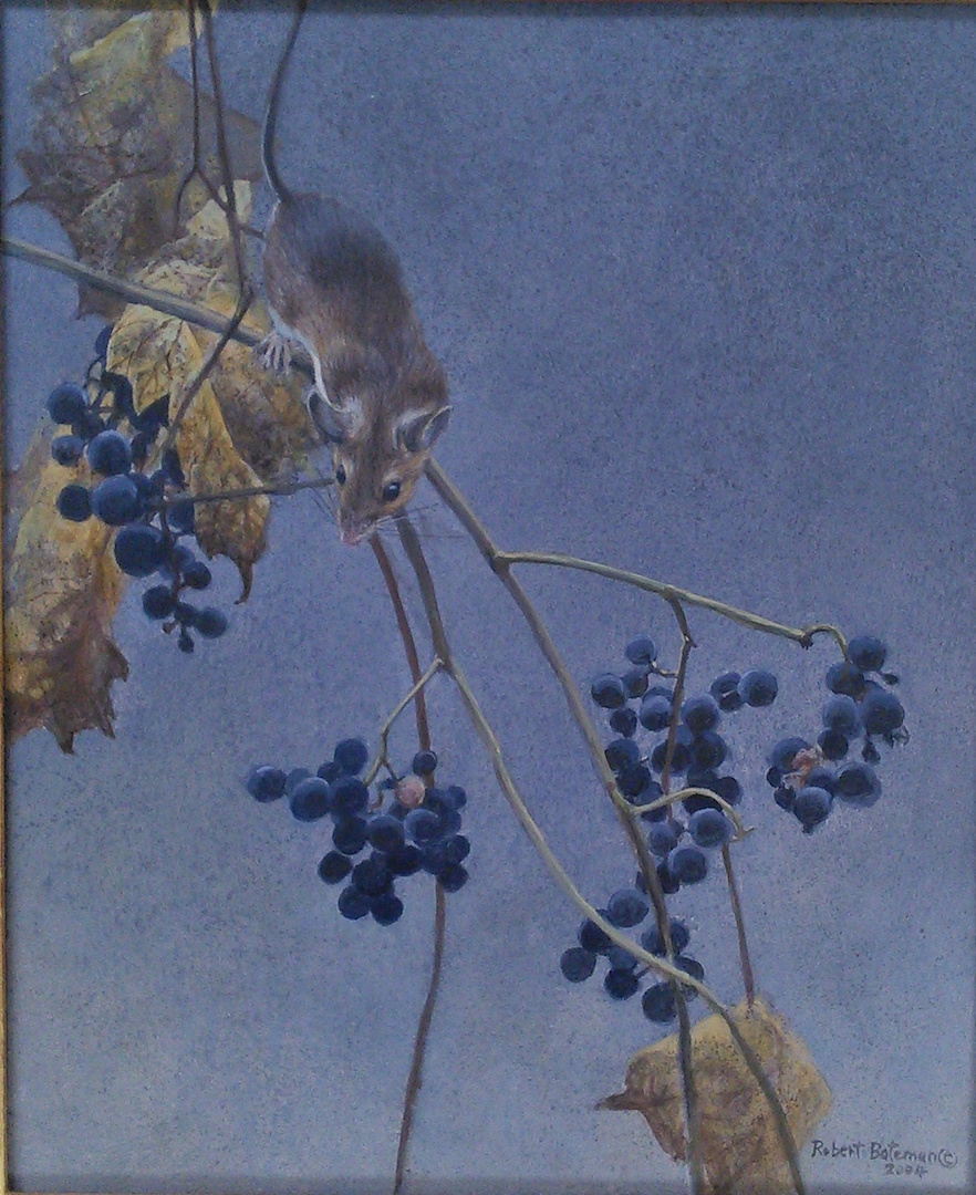 Robert Bateman Mouse and Grapes