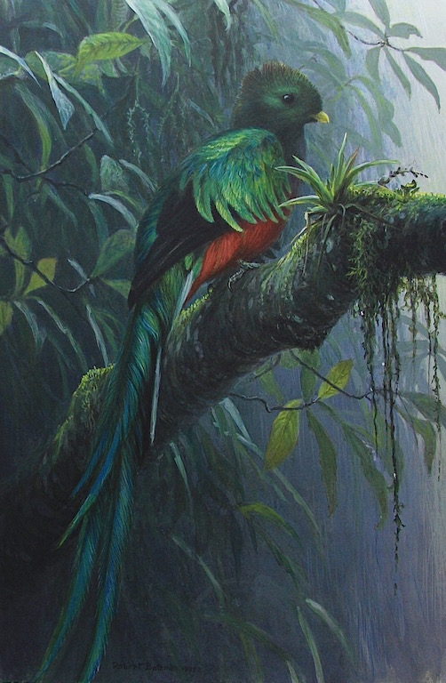 Robert Bateman Quetzal