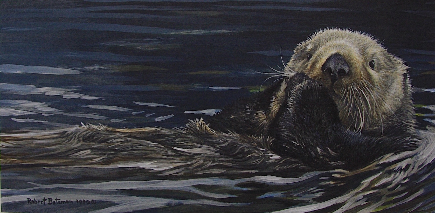 Robert Bateman Sea Otter Study