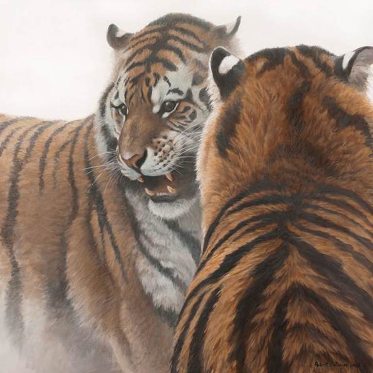 Robert Bateman Sparring Siberian Tigers