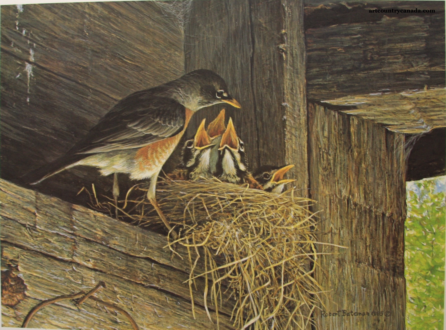 Robert Bateman Robins at The Nest