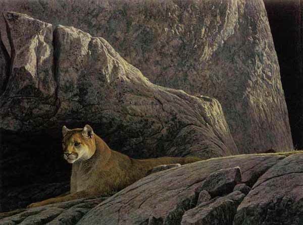 Robert Bateman Rocky Wilderness Cougar