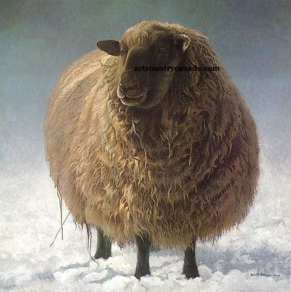 Robert Bateman Salt Spring Sheep