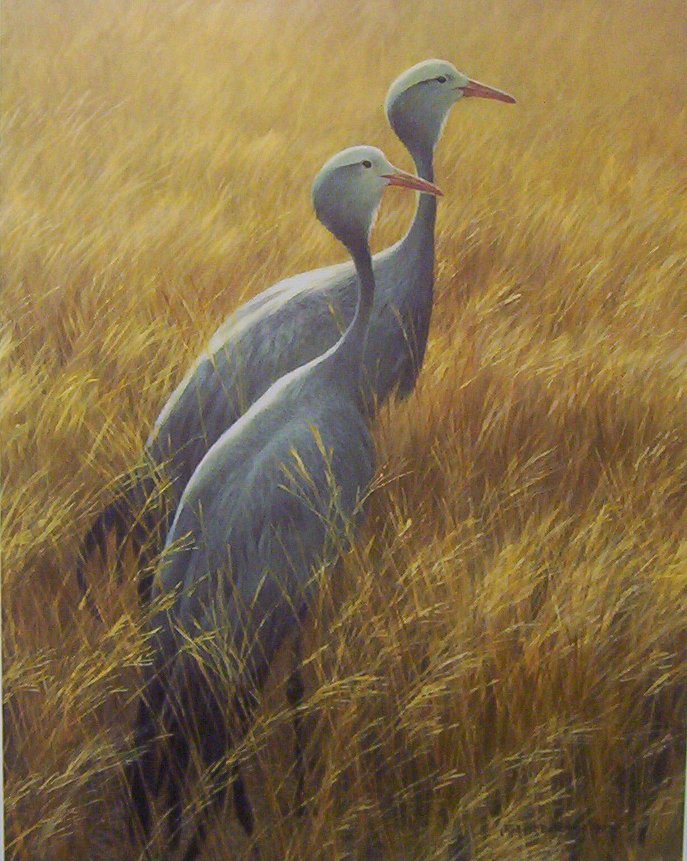 Robert Bateman Sappi Blue Cranes