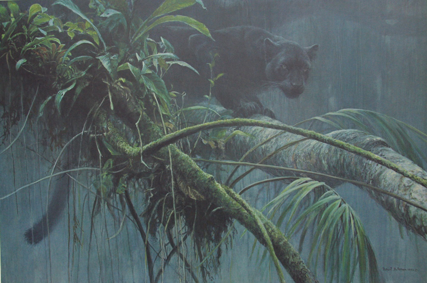 Robert Bateman Shadow Of The Rainforest Black Jaguar