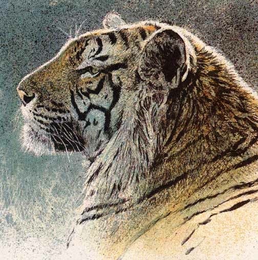 Robert Bateman Siberian Tiger Original Lithograph
