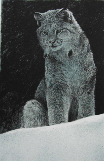 Robert Bateman Original Lithograph Snowy Range Lynx