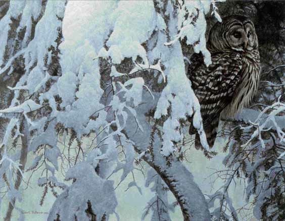 Robert Bateman Snowy Hemlock Barred Owl