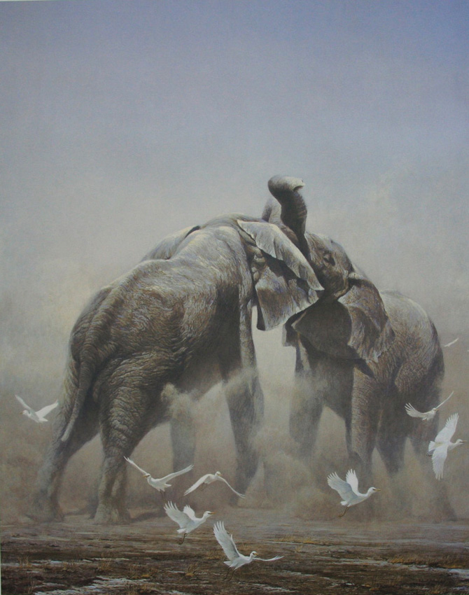 Robert Bateman Sparring Elephants