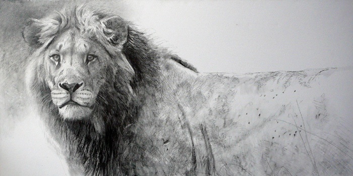 Robert Bateman The Warrior Lion