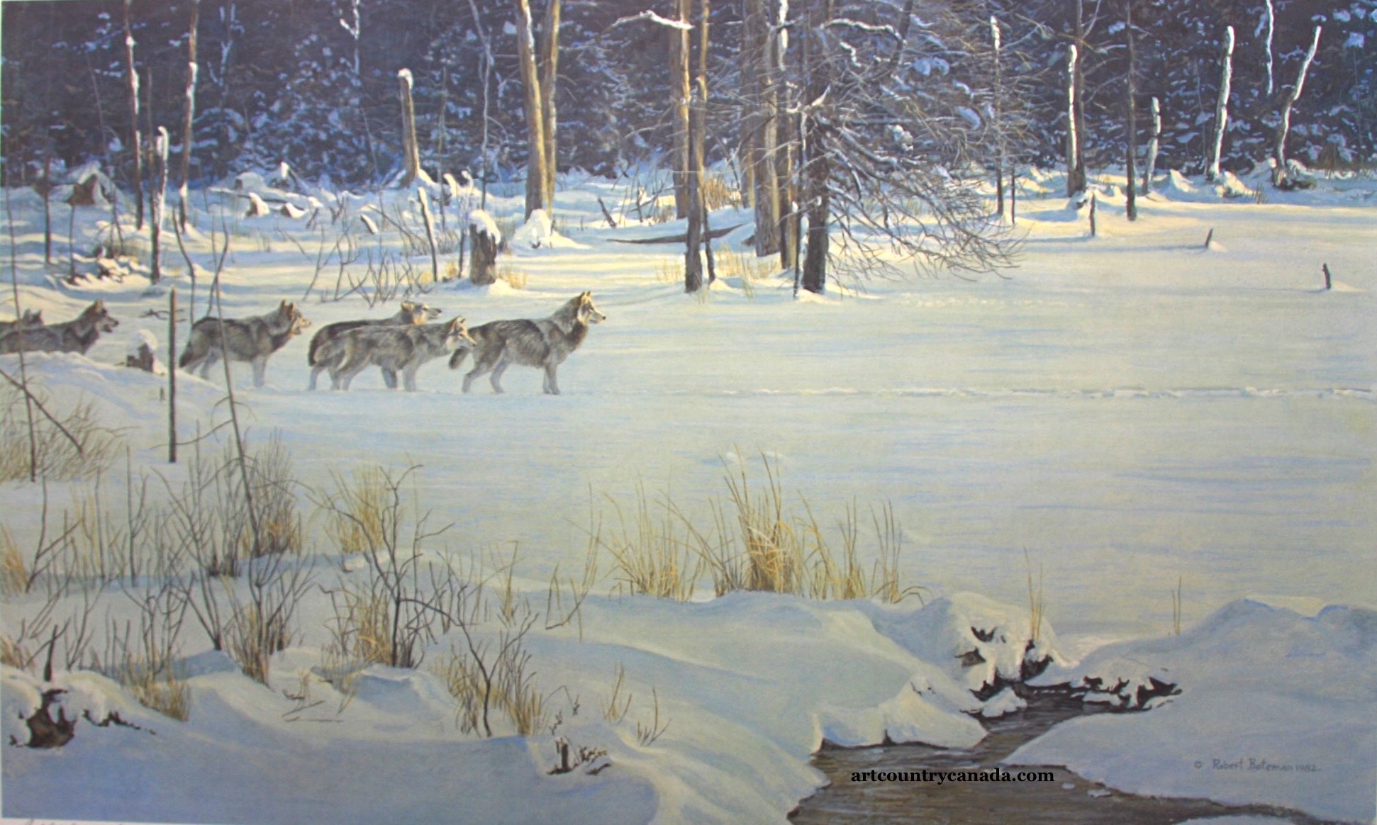Robert Bateman Wolves On The Trail