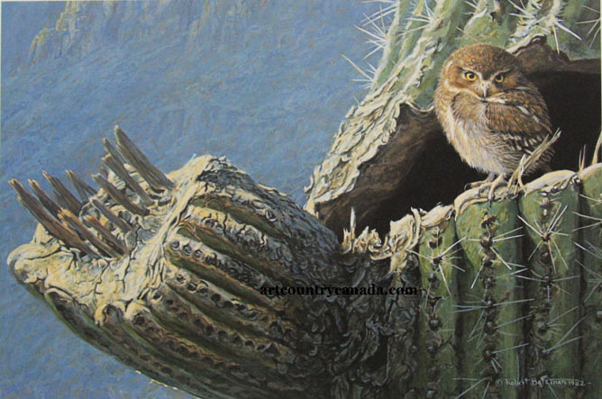 Robert Bateman Young Elf Owl and Saguaro 