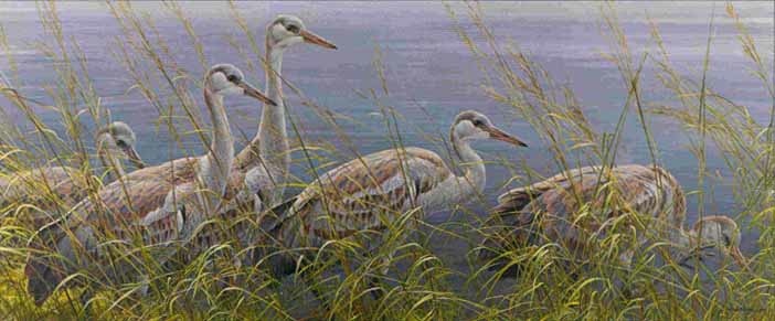 Robert Bateman Young Sandhill Cranes