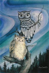 Sue Coleman Night Owl