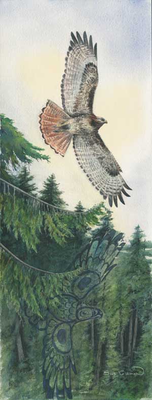 Sue Coleman Red-Tailed Hawk