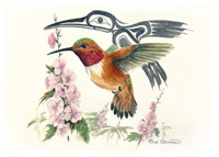 Sue Coleman Rufous Hummingbird